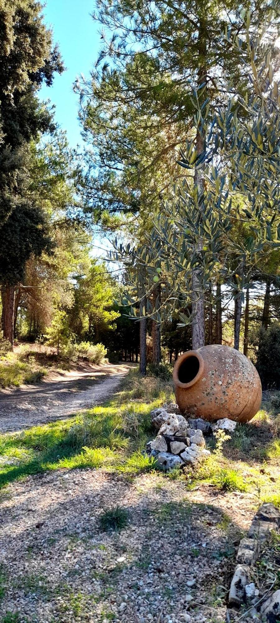 Villa Sanz Cuenca (Castilla-La Mancha) Exterior foto